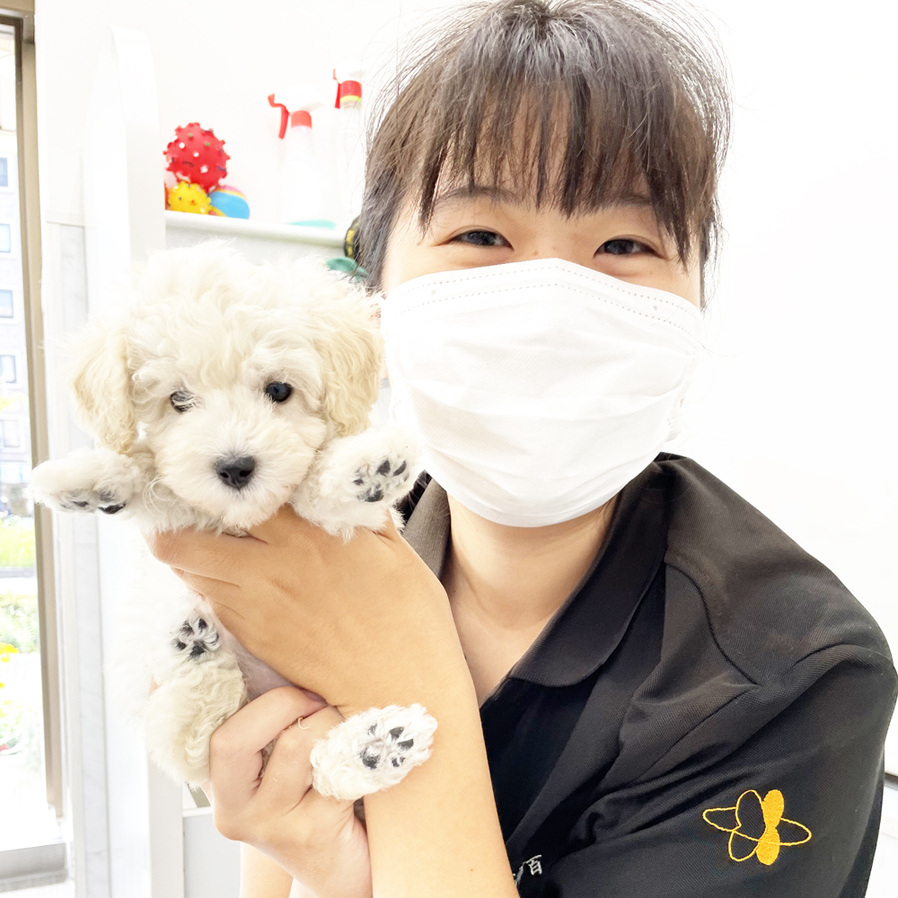 ペットショップ実習♪